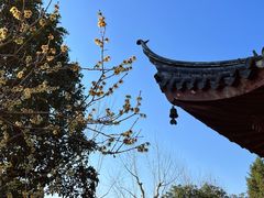 -北寺塔