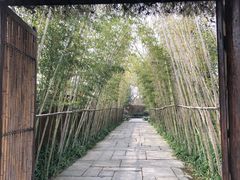 -新荣记(西溪湿地店)