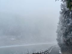 -武陵山森林公园