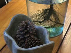 -六区宿舍咖啡店