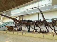 -天津自然博物馆