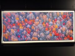 -罗红摄影艺术馆