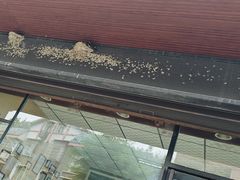 -牛华八婆麻辣烫(起源店)