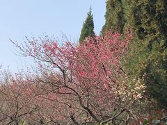 -白塘生态植物园