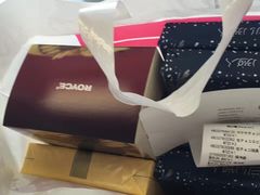 -关西国际机场直营免税店