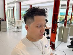 点击看大图 -金棕榈