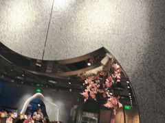 -呷哺呷哺 蔬菜畅吃(中发百旺店)
