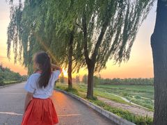 -洨河生态公园