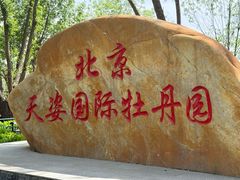 -太阳宫公园