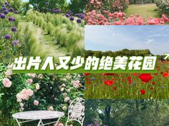 -嘉北郊野公园