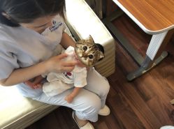 -上海艾儿贝佳妇产科医院