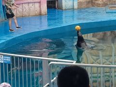 -华夏文旅海洋公园