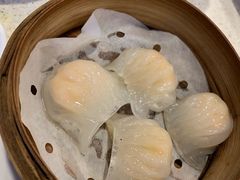 -新发记港式茶餐厅(黄浦店)