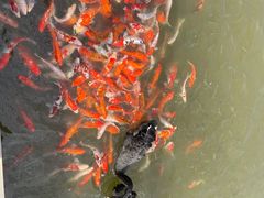 -南京汤山紫清湖生态旅游温泉度假区