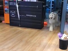 -喜狗宠物生活馆(岳州路店)