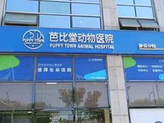 -芭比堂动物医院·CT·微创中心(新顺分院)