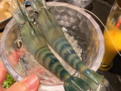-半岛翡丽海鲜自助餐厅(观风亭店)