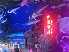 -烟台海昌鲸鲨海洋公园