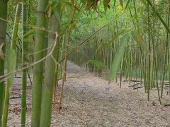 -同里国家湿地公园