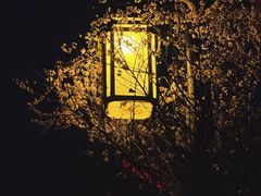 -迎泽公园