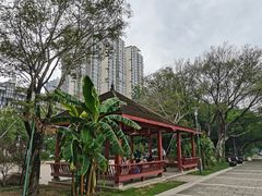 -光明港公园