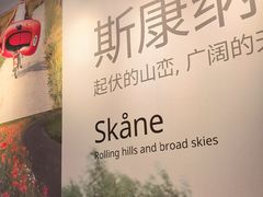 -宜家·瑞典风味餐厅(天津东丽商场店)