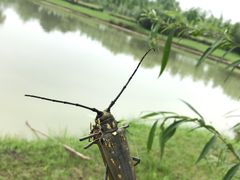 -上膳源有机农场