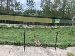 -上海野生动物园