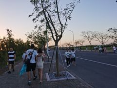 -南汇嘴观海公园