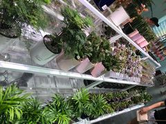 -KKV(深圳宏发大仟里店)