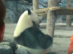 -武汉动物园