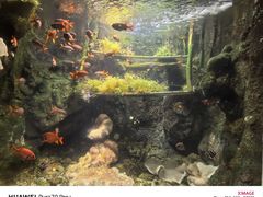 -太平洋海底世界