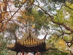 -秋霞圃