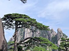 -黄山风景区