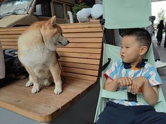 -上海前滩香格里拉大酒店