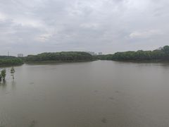 -昆山城市生态森林公园