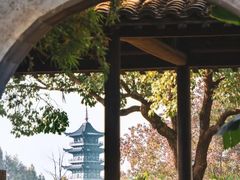 -乌镇西栅景区