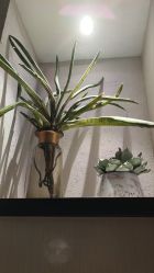 -香秀空间科技抗衰·美容中心