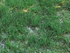 -河南省黄河迎宾馆