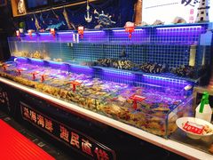 -必点海鲜·鲅鱼水饺(鞍山西道店)