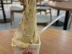 焦糖海盐冰淇淋-野人先生Gelato(上海长宁龙之梦店)