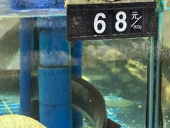 -大众海鲜(巨龙北路店)