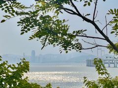 -星海湾跨海大桥