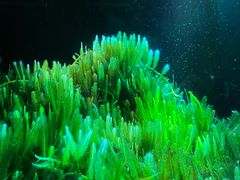 -欢乐海岸海洋奇梦馆