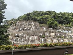 -香港大学