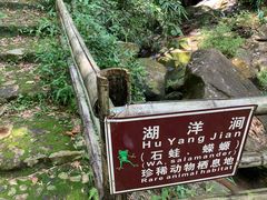 -千泷沟大瀑布旅游区