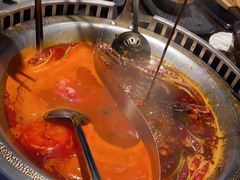 -辣伍鲜毛肚老火锅(元一店)
