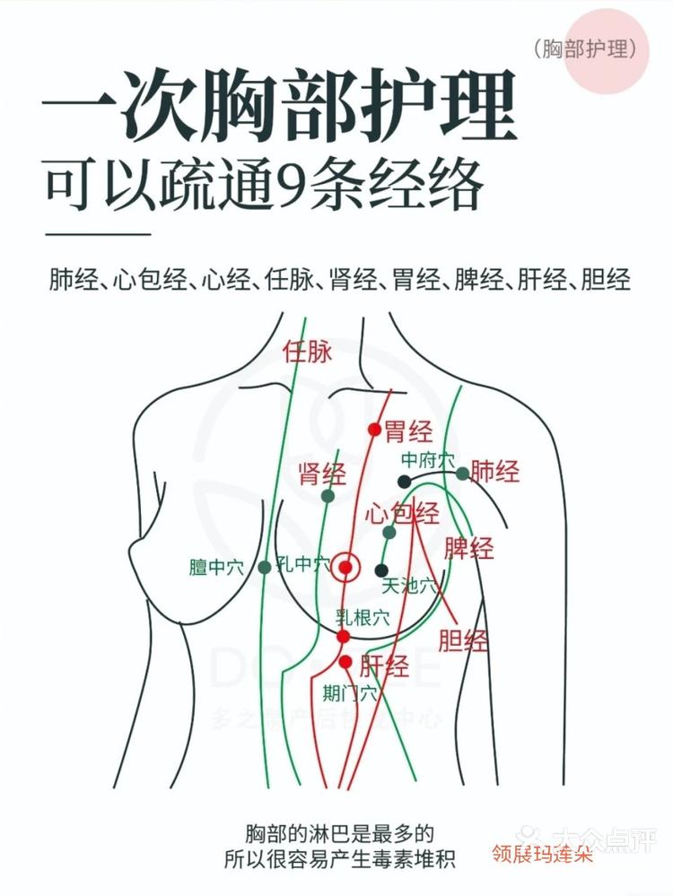 左乳12点位置图片图片