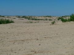 android_upload_pic-玉龙沙湖景区