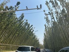 -中国唐苑